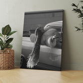 Queen Bee Singer - aesthetic edit 5