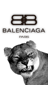 balenciaga tiger
