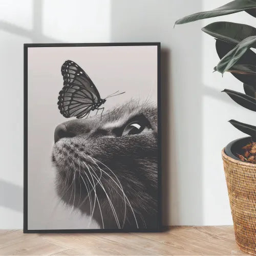 aesthetic butterfly & cat - wall art