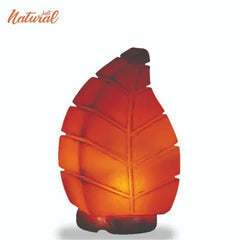 USB multi colour changing Leaf shape salt lamp