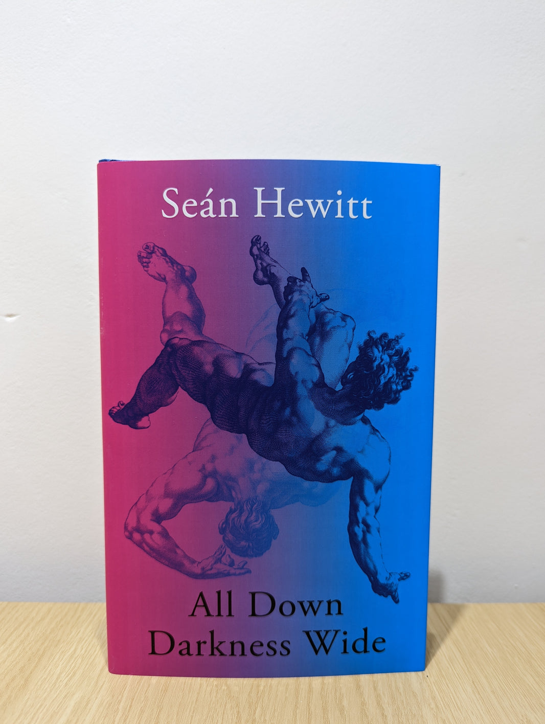 All Down Darkness Wide - Sean Hewitt  -  Reading Books