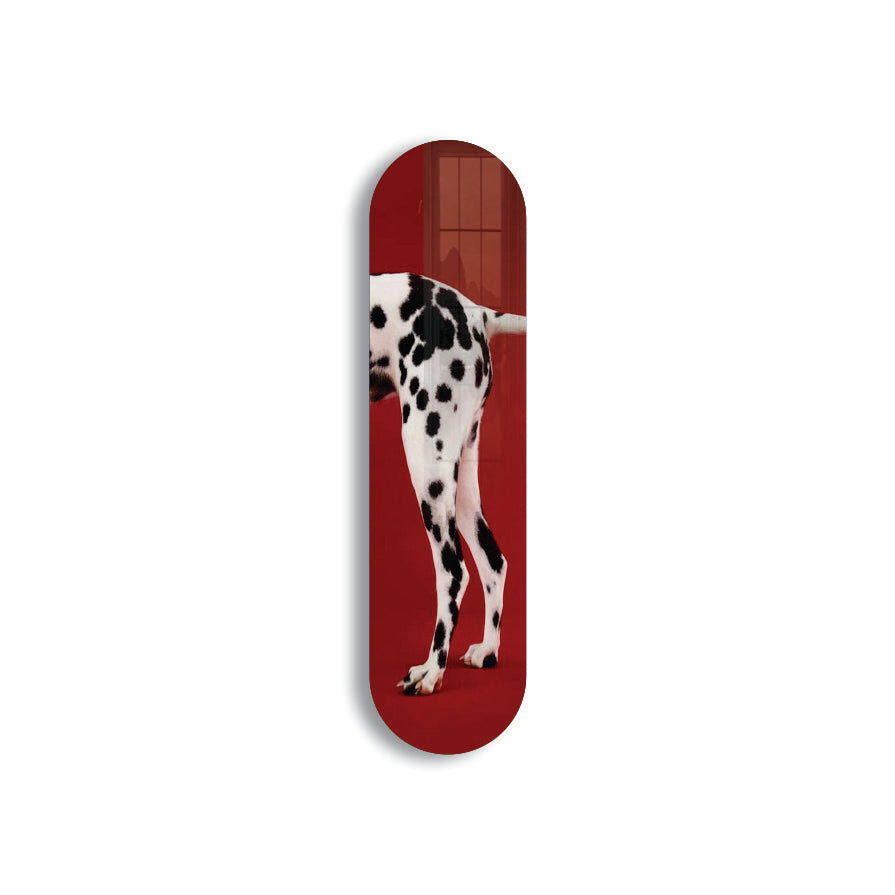 Stylish Dalmatian - Pixiglass wall art