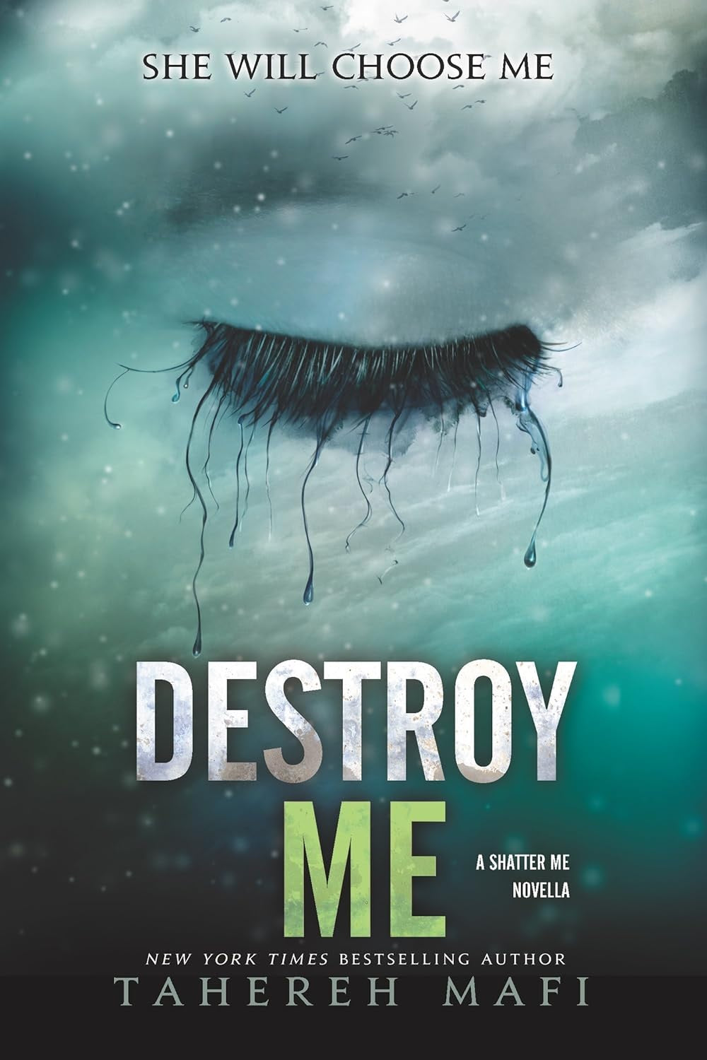 Destroy Me - Tahereh Mafi - Reading Books