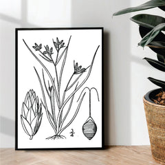 Minimal Plants Line Art - wall art