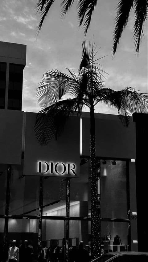 dior aesthetic