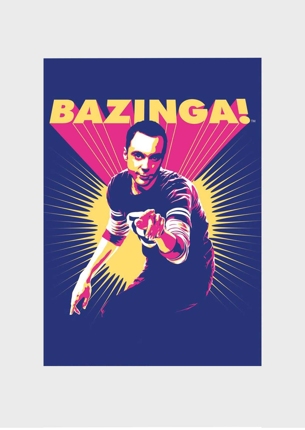Big Bang Theory Bazinga