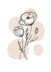 Boho Botanicals Poppy