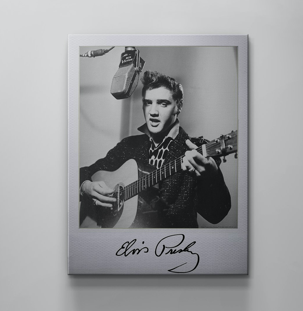 Elvis Presley Singer ICON