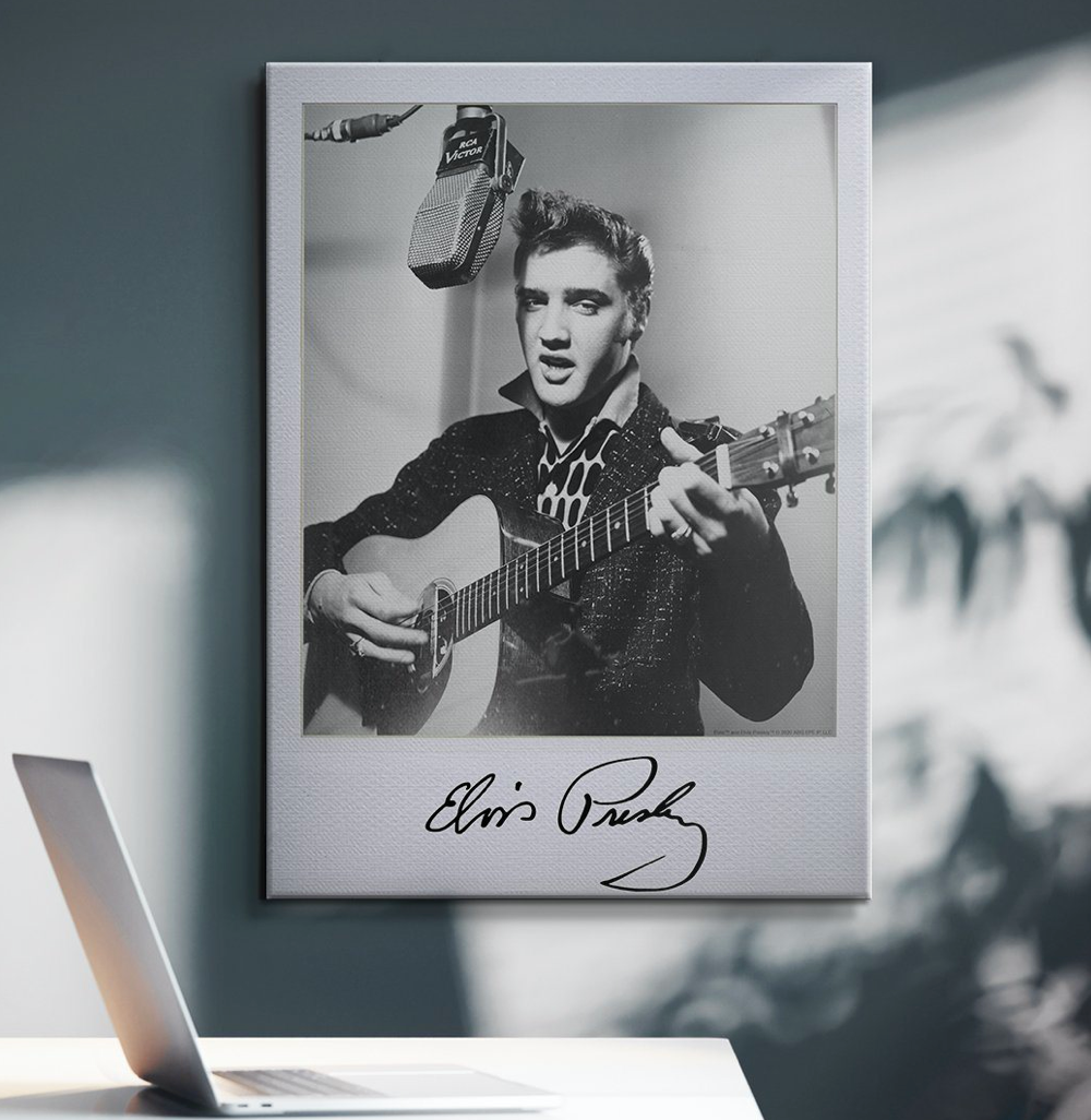 Elvis Presley Singer ICON