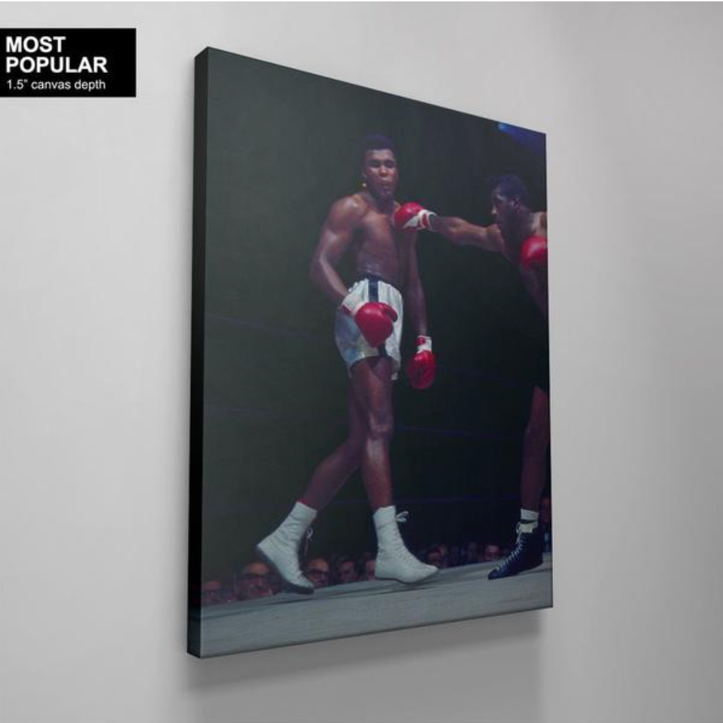 Muhammad Ali Float - Boxing
