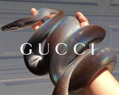 Gucci Snake (square)