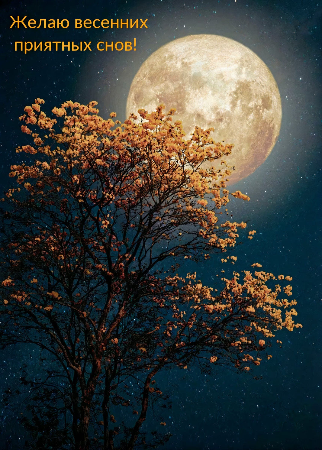 Full Moon Good Night