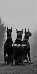 balenciaga doberman