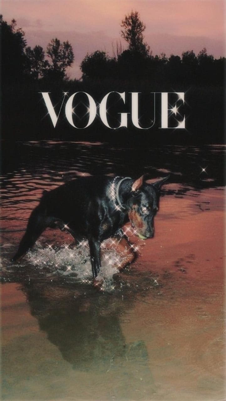 Sparkling Vogue
