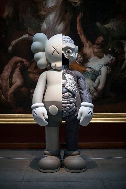 Kaws inside out