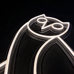 OVO drake neon sign