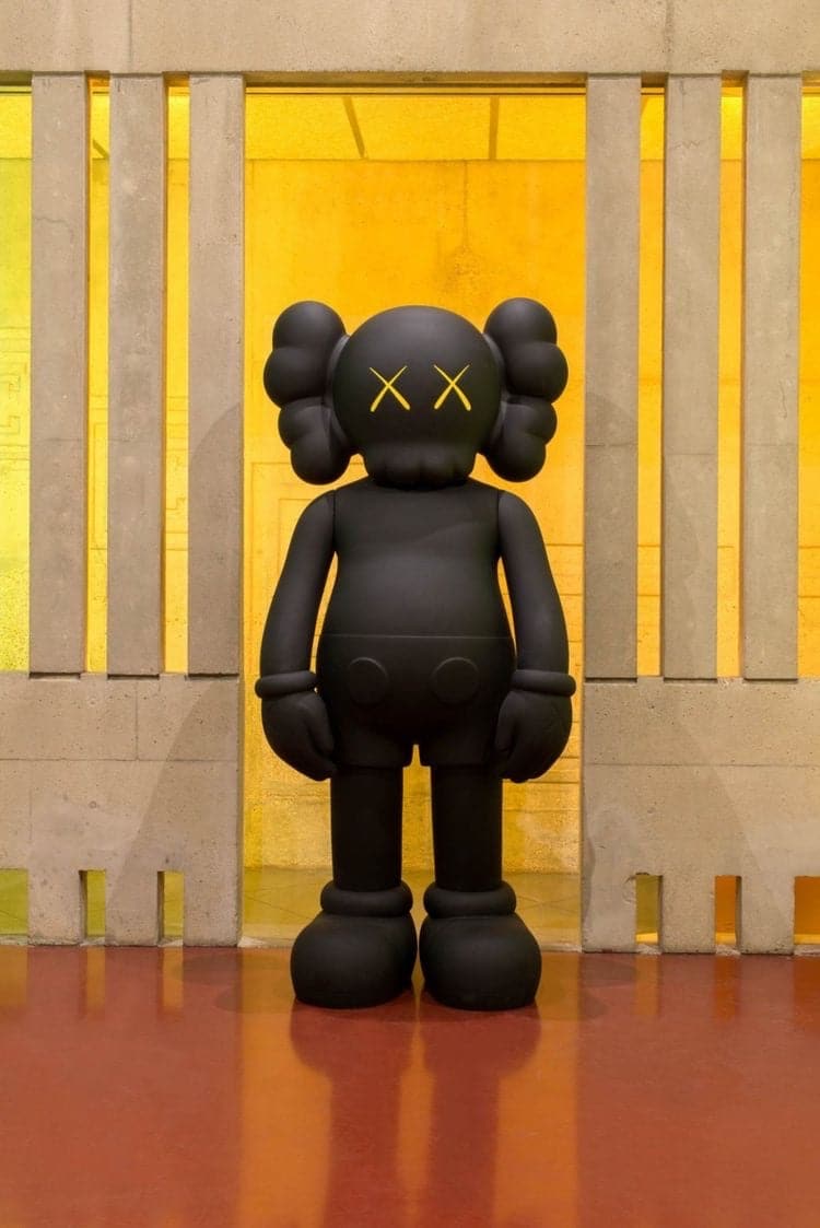 Kaws figure aesthetic