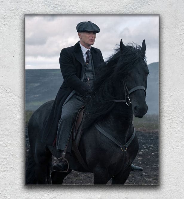 Tommy Shelby Horse 1 - Show