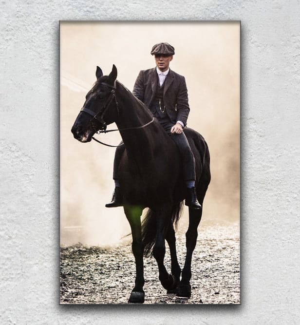 Tommy Shelby Horse 2 - Show