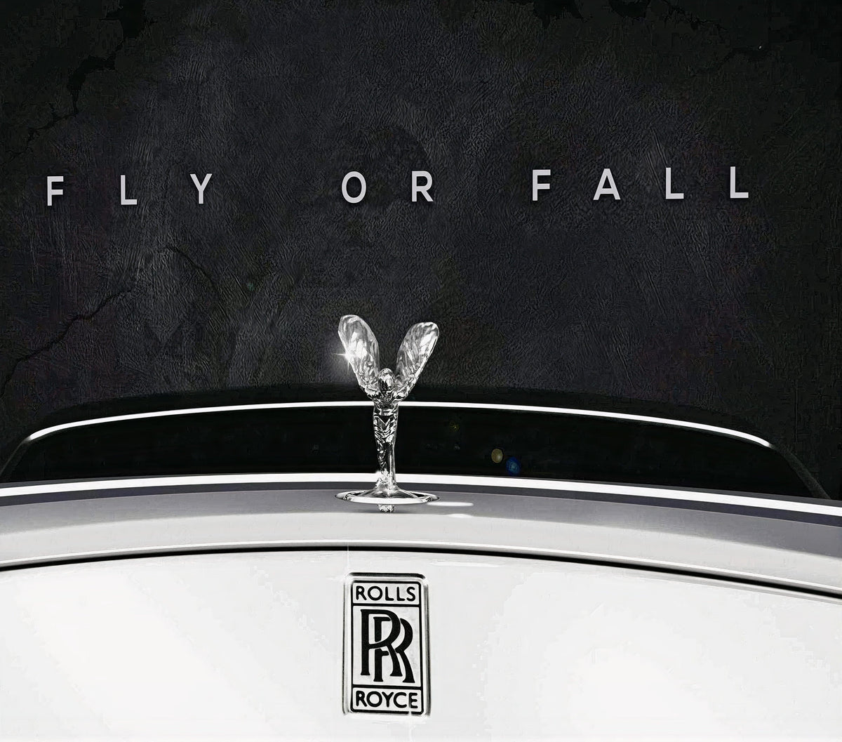 Fly Or Fall